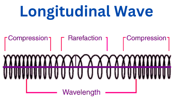 longitudinal wave