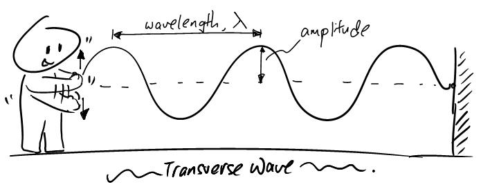 Transverse wave on a rope