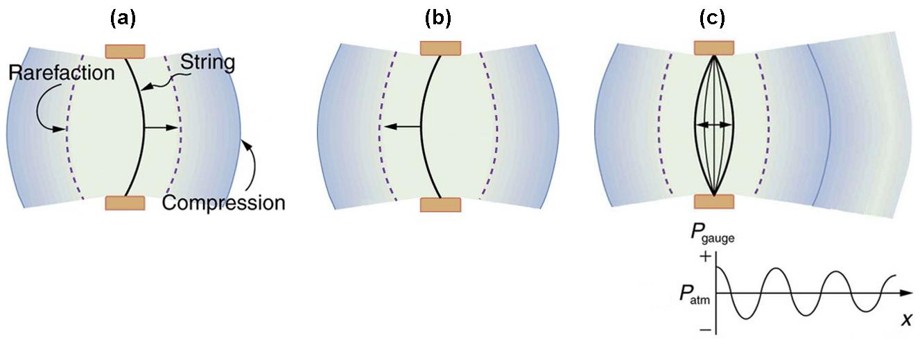 vibrating string with compressions and rarefractions